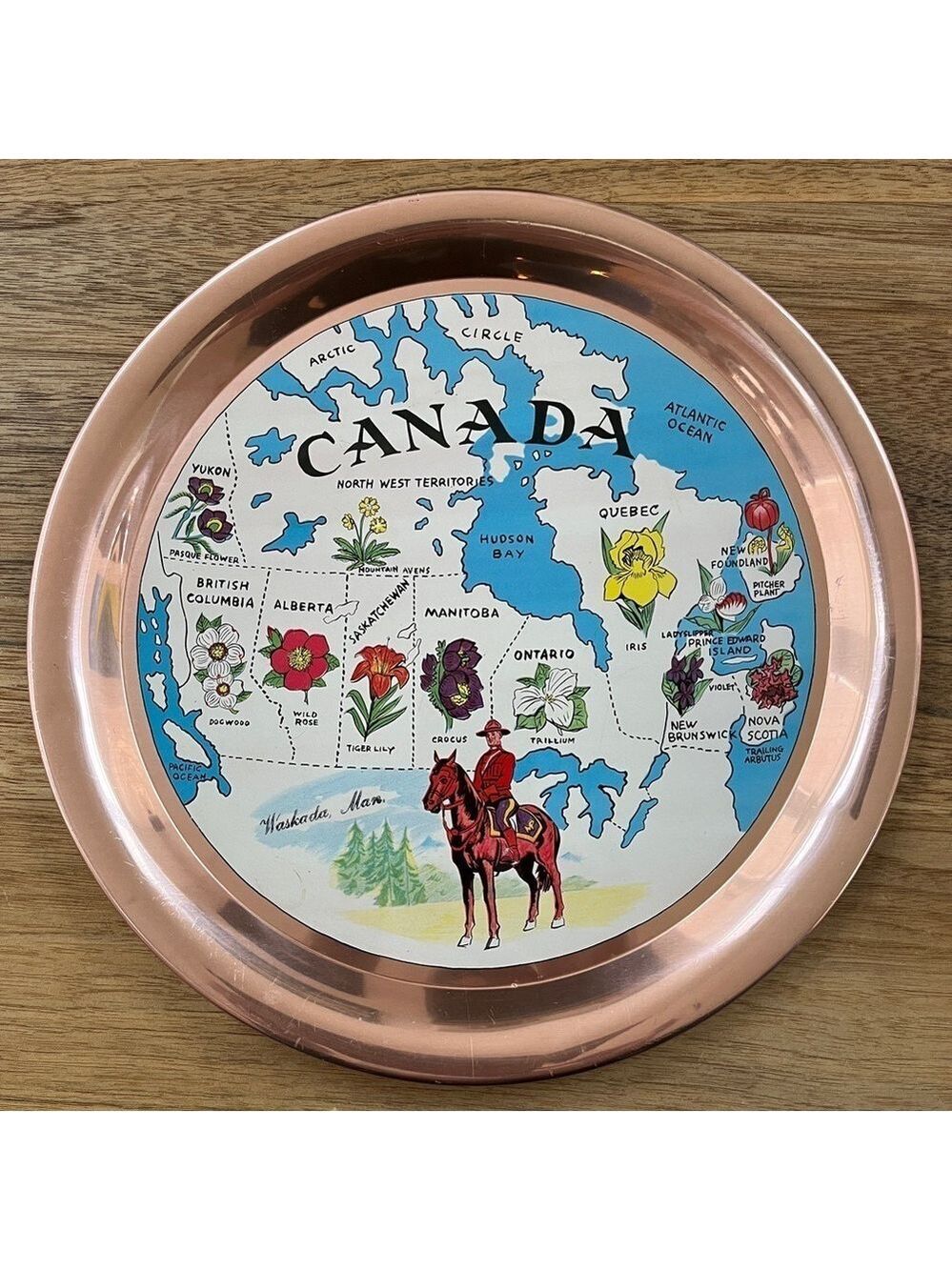 VINTAGE Round Metal Tray Provincial Flowers RCMP Kitschy Canada Souvenir Copper